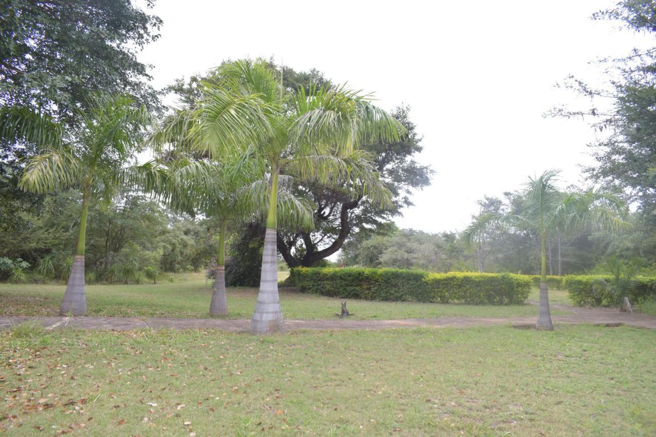 Copacopa Lodge And Conference Centre Punda Maria Eksteriør bilde